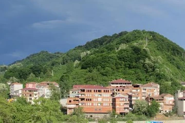 Blog