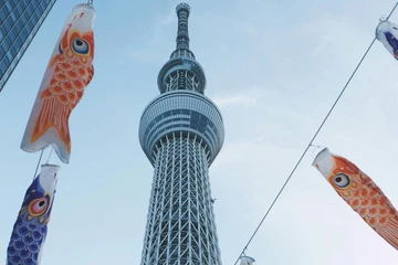 Blog
