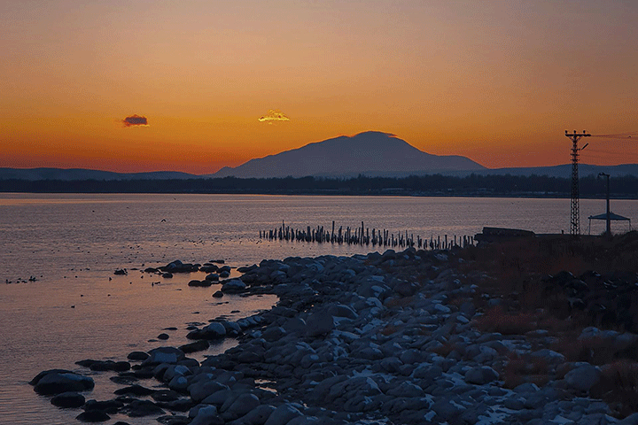 Blog