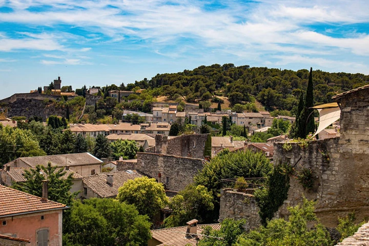 Avignon