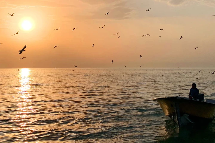 Bushehr