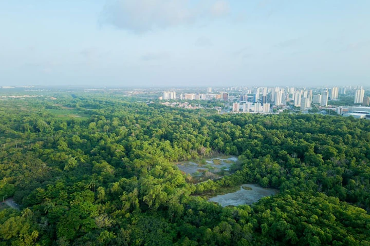 Fortaleza