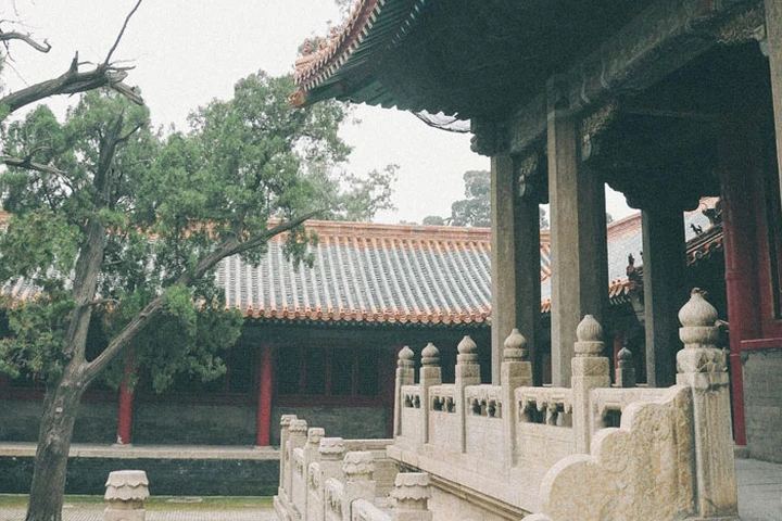 Jining