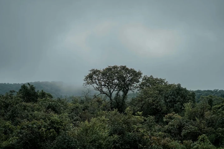 Kolhapur