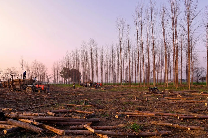 Ludhiana