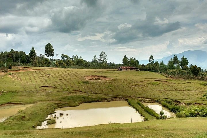 Pekanbaru