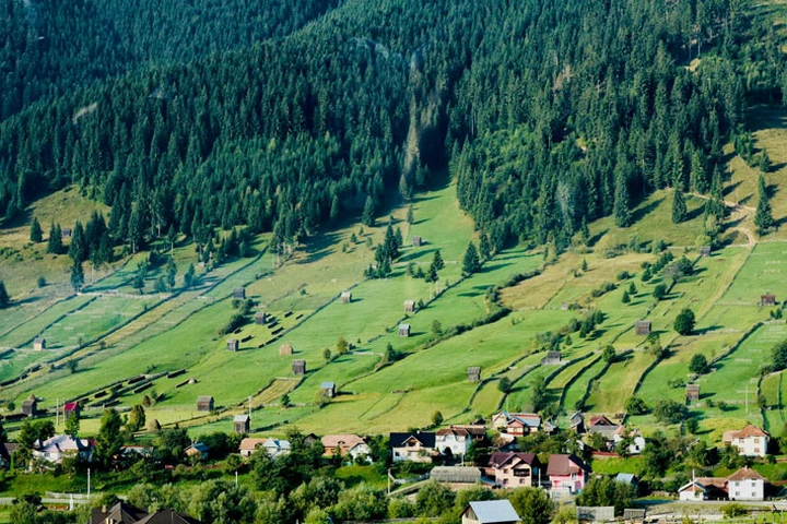 Suceava